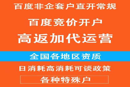 行业内的SEM竞价代运营公司优秀案例剖析