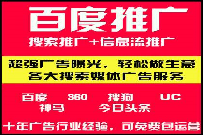 知名SEM公司案例分析：优化策略与成果