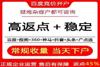百度竞价代理的运营策略与成功案例分析